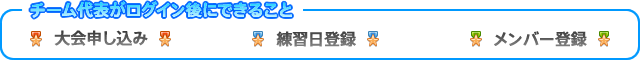 チーム代表がログイン後にできること
